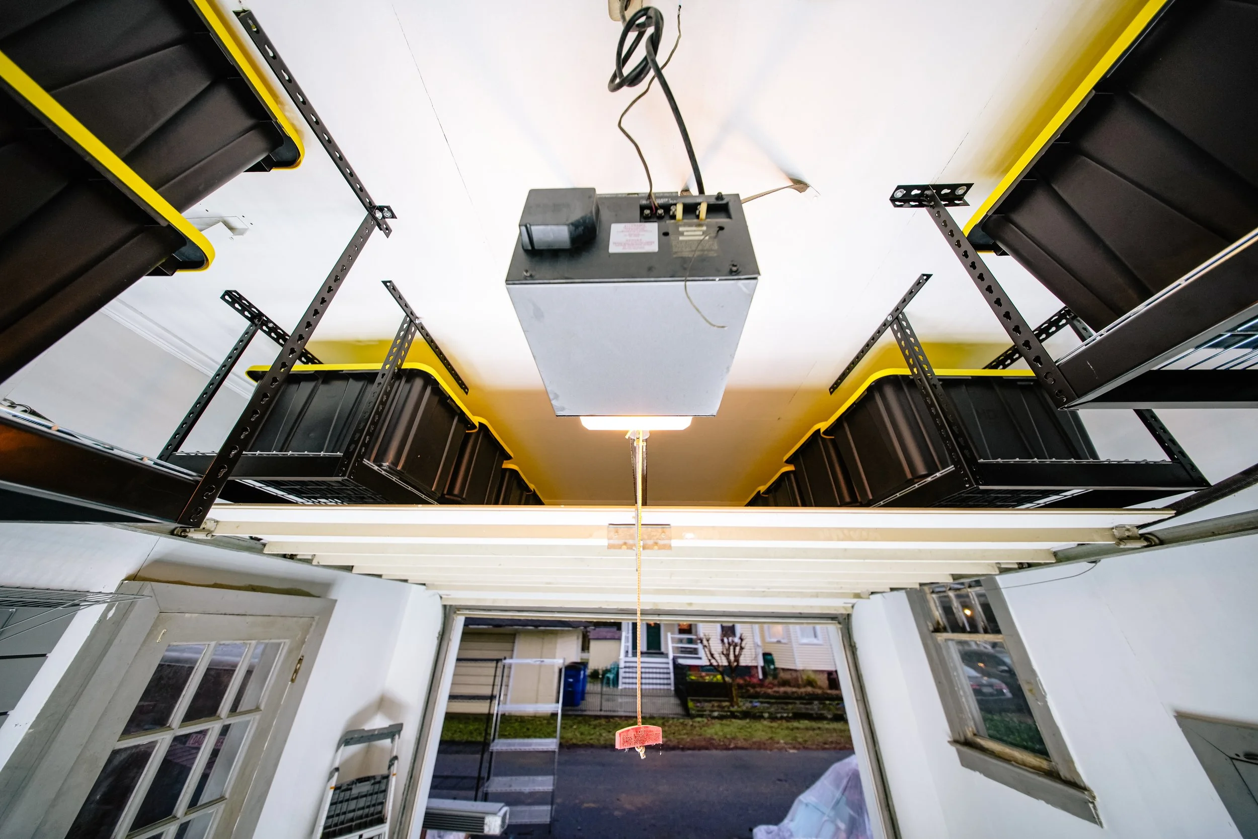 Gallery — GorillaRaxx